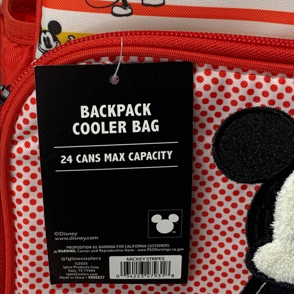 Disney Mickey Mouse Rainbow Stripes Insulated Cooler Backpack 24 Can NWT